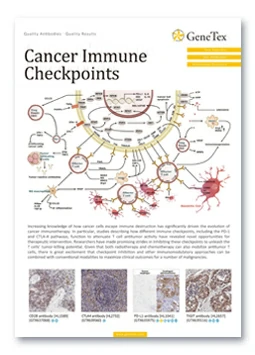 Cancer Immune Checkpoints