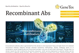 下载 GeneTex 最新版本的 重组抗体 单页